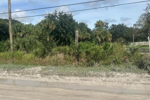 Terreno en alquiler en Cocoa, Florida № 1903224 - foto 1