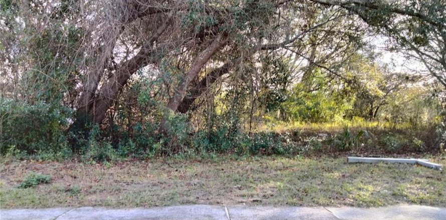 Terrain à Apopka, Floride № 1907917