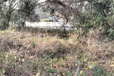 Terreno en venta en Apopka, Florida № 1907917 - foto 5