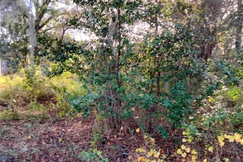 Terreno en venta en Apopka, Florida № 1907917 - foto 4