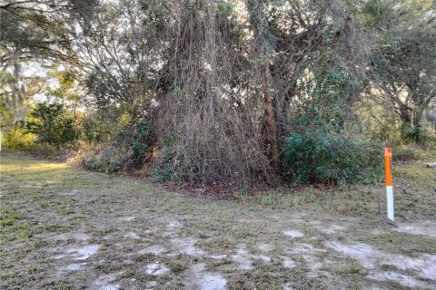 Terreno en venta en Apopka, Florida № 1907917 - foto 2