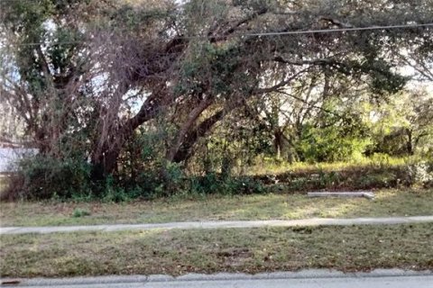Terreno en venta en Apopka, Florida № 1907917 - foto 3