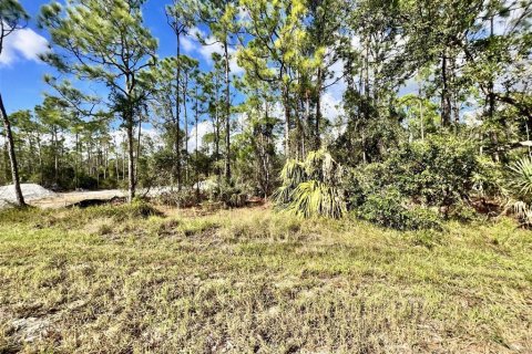 Land in Punta Gorda, Florida № 2159936