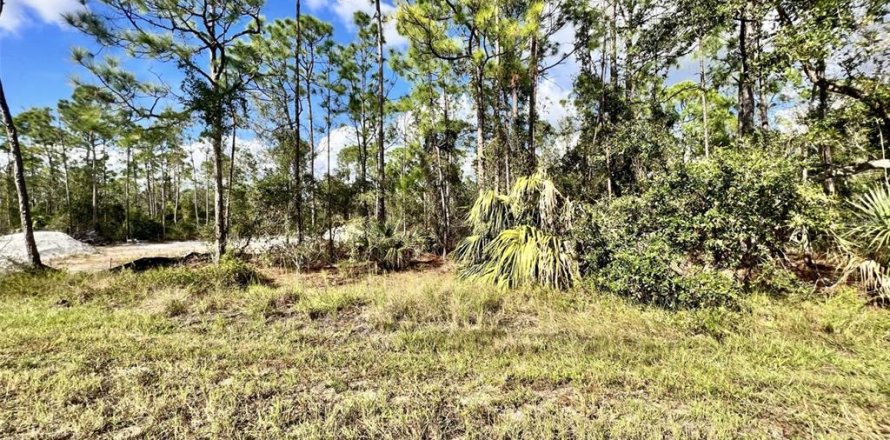 Land in Punta Gorda, Florida № 2159936