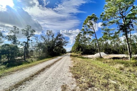 Land in Punta Gorda, Florida № 2159936 - photo 3