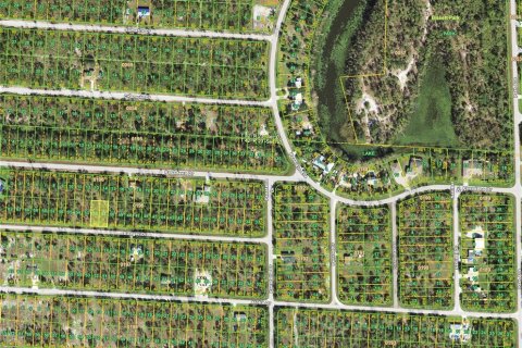 Land in Punta Gorda, Florida № 2159936 - photo 2
