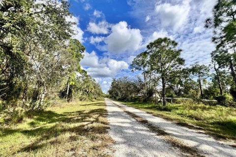 Land in Punta Gorda, Florida № 2159936 - photo 4