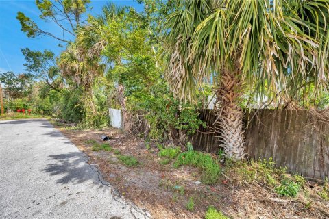 Terreno en venta en Saint Petersburg, Florida № 1516306 - foto 5
