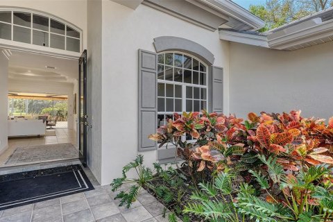 Villa ou maison à vendre à Osprey, Floride: 4 chambres, 365.94 m2 № 2418656 - photo 5