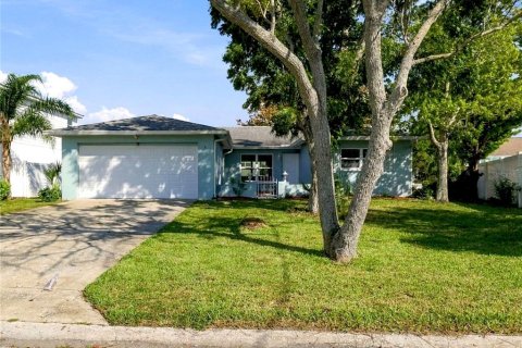 Villa ou maison à Hernando Beach, Floride 3 chambres, 146.79 m2 № 2423911