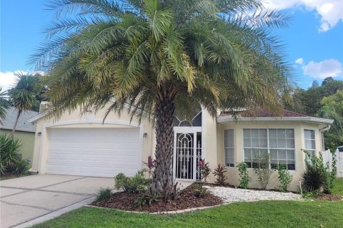 Villa ou maison à Wesley Chapel, Floride 4 chambres, 163.88 m2 № 2418972