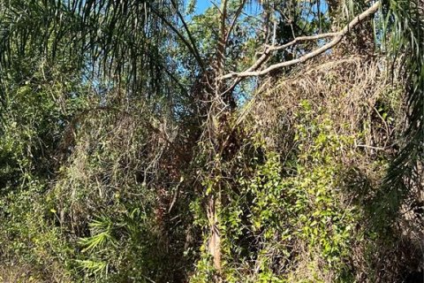 Land in Indian lake estates, Florida № 2158865 - photo 3