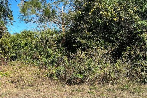 Land in Indian lake estates, Florida № 2158865 - photo 4