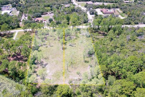 Land in Deltona, Florida № 1886787 - photo 1
