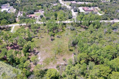 Land in Deltona, Florida № 1886787 - photo 7