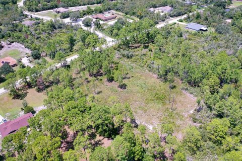 Land in Deltona, Florida № 1886787 - photo 6