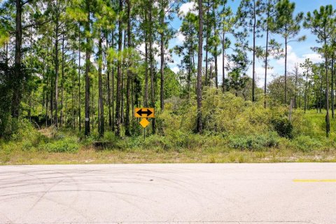 Land in Deltona, Florida № 1886787 - photo 2