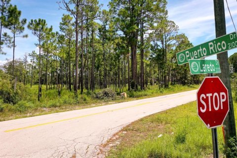 Land in Deltona, Florida № 1886787 - photo 3