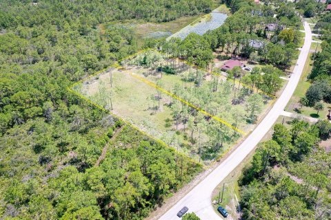 Land in Deltona, Florida № 1886787 - photo 10