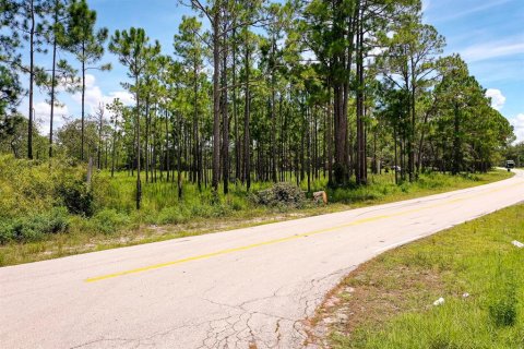 Land in Deltona, Florida № 1886787 - photo 4