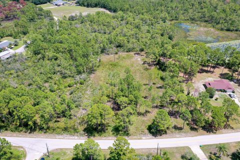 Land in Deltona, Florida № 1886787 - photo 5