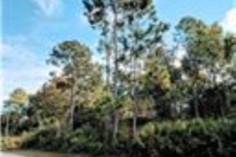 Terreno en venta en Palm Coast, Florida № 1629792 - foto 1