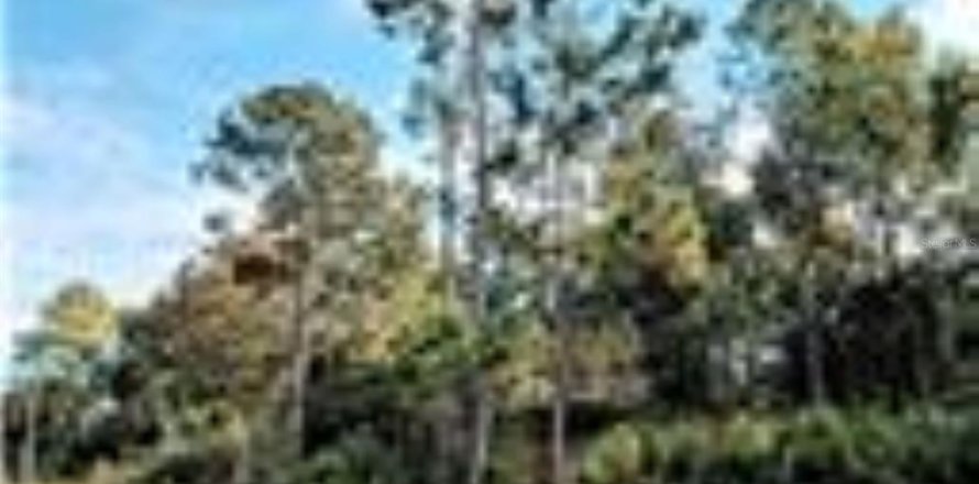Terreno en Palm Coast, Florida № 1629792