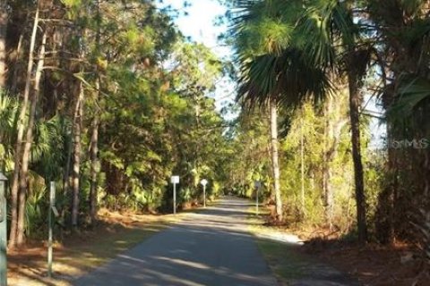 Terreno en venta en Palm Coast, Florida № 1629792 - foto 9