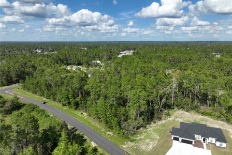 Terrain à vendre à Ocala, Floride № 1910531 - photo 4