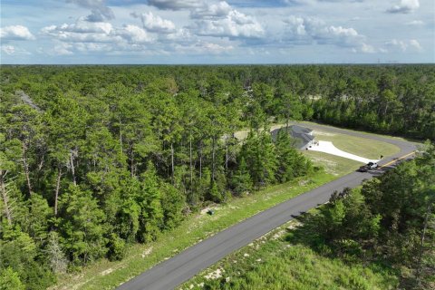 Terrain à vendre à Ocala, Floride № 1910531 - photo 15