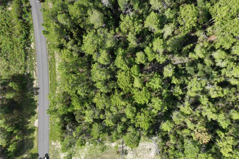 Terrain à vendre à Ocala, Floride № 1910531 - photo 11