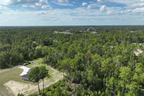 Terrain à vendre à Ocala, Floride № 1910531 - photo 6