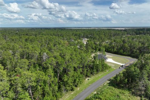 Terrain à vendre à Ocala, Floride № 1910531 - photo 3