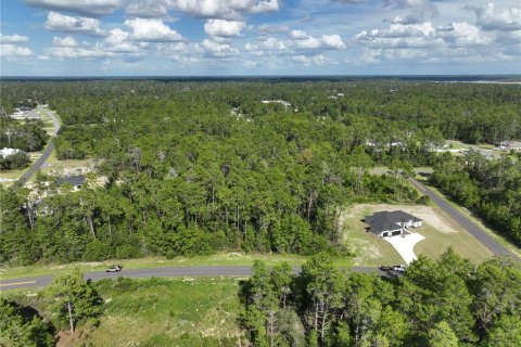 Terrain à vendre à Ocala, Floride № 1910531 - photo 16