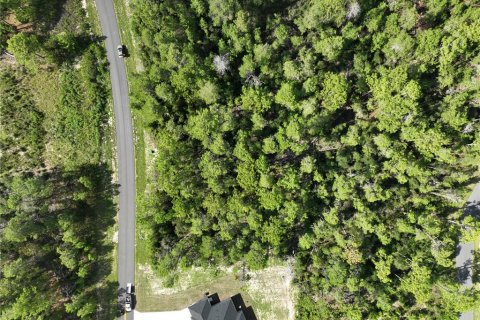 Terrain à vendre à Ocala, Floride № 1910531 - photo 10