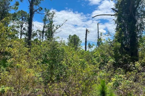 Land in Port Charlotte, Florida № 2161422 - photo 3