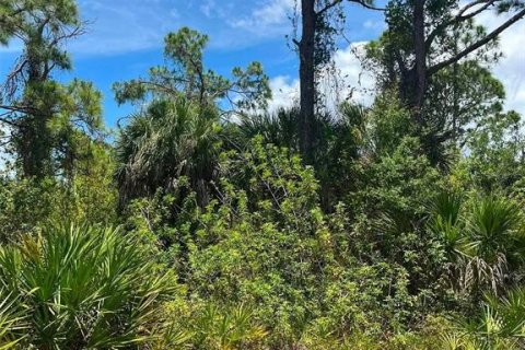 Land in Port Charlotte, Florida № 2161422 - photo 5