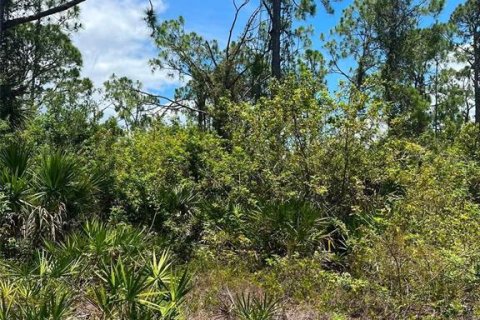 Land in Port Charlotte, Florida № 2161422 - photo 4