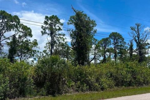 Land in Port Charlotte, Florida № 2161422 - photo 6