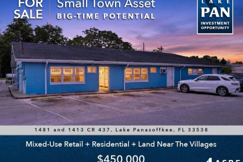 Immobilier commercial à Lake Panasoffkee, Floride № 2103710