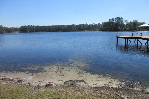 Land in Silver Springs Shores, Florida № 2394395 - photo 5