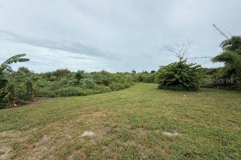 House in Englewood, Florida 3 bedrooms, 162.02 sq.m. № 1909447 - photo 24