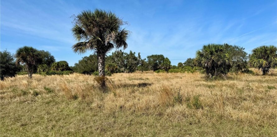 Land in Clewiston, Florida № 1182613
