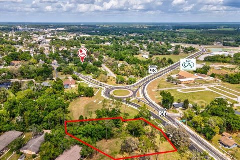 Land in Dade City, Florida № 2106462
