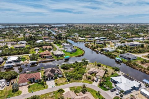 Land in Port Charlotte, Florida № 2166667 - photo 4