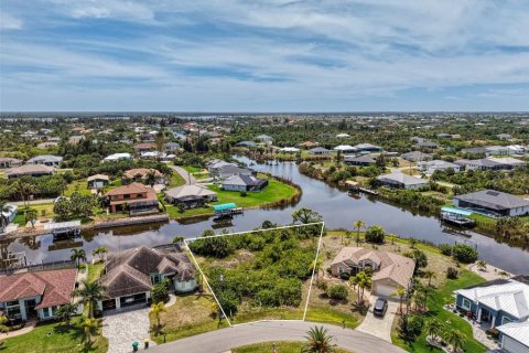 Land in Port Charlotte, Florida № 2166667 - photo 3