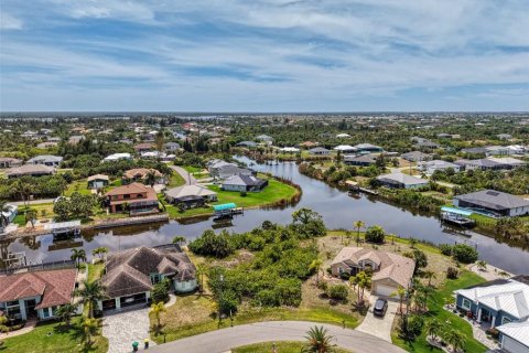 Land in Port Charlotte, Florida № 2166667 - photo 9