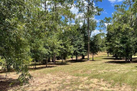 Land in Eustis, Florida № 2400376
