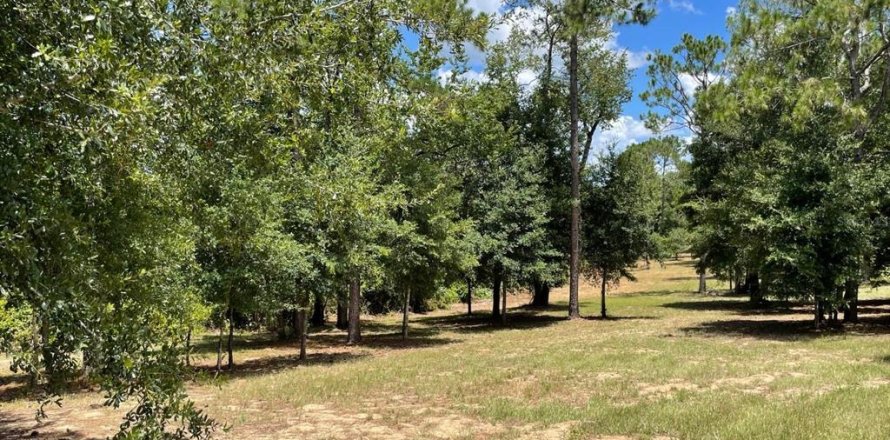 Land in Eustis, Florida № 2400376
