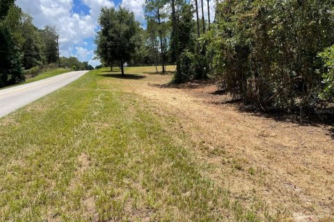 Land in Eustis, Florida № 2400376 - photo 2